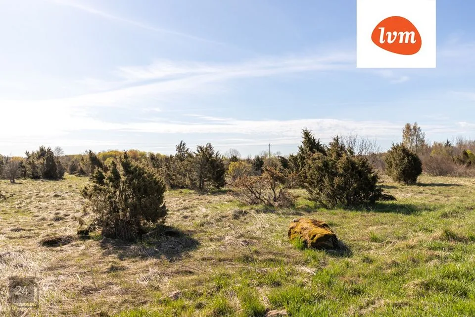 Maatulundusmaa, 67600 m² Maa - Jõelähtme vald, Ruu küla - foto 2