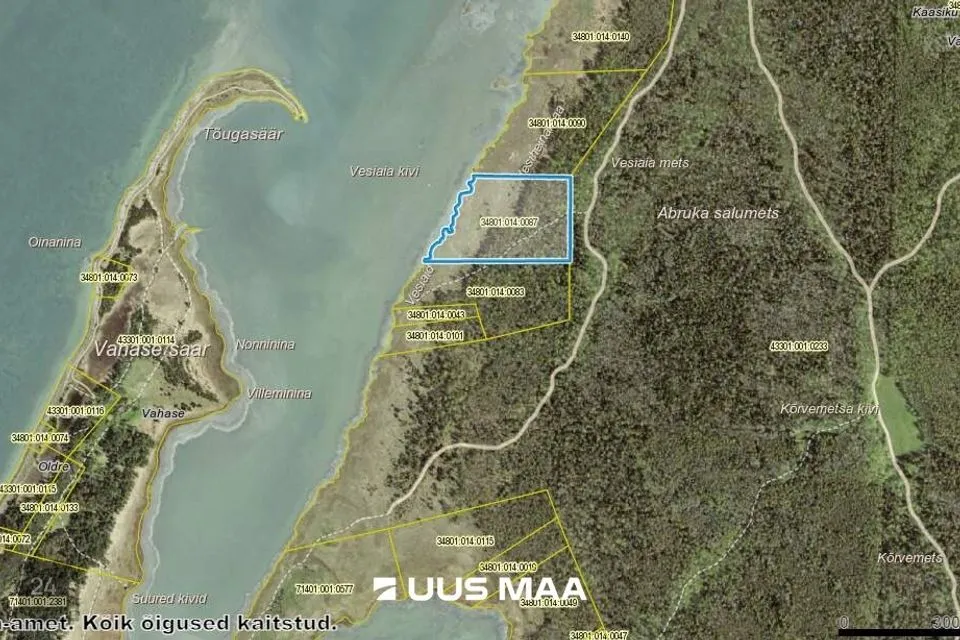 Maatulundusmaa, 61700 m² Maa  -  Saaremaa vald, Abruka küla - foto 2