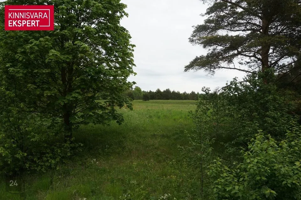 Maatulundusmaa, 45700 m² Maa - Lääneranna vald, Paadrema küla - foto 5