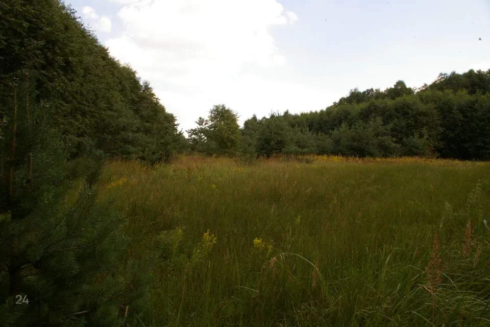 Maatulundusmaa, 16879 m² Maa - Pärnu linn, Lemmetsa küla - foto 2