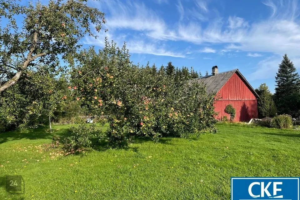 50 m² дом в Saaremaa vald, Võhma küla - фото 4