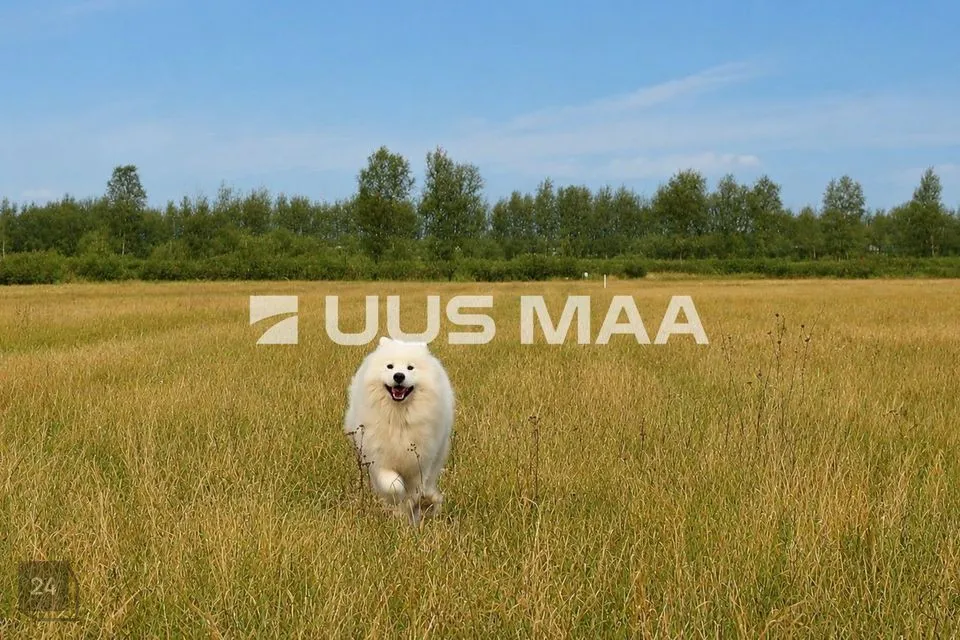Elamumaa, 23998 m² Maa  -  Kiili vald, Nabala küla