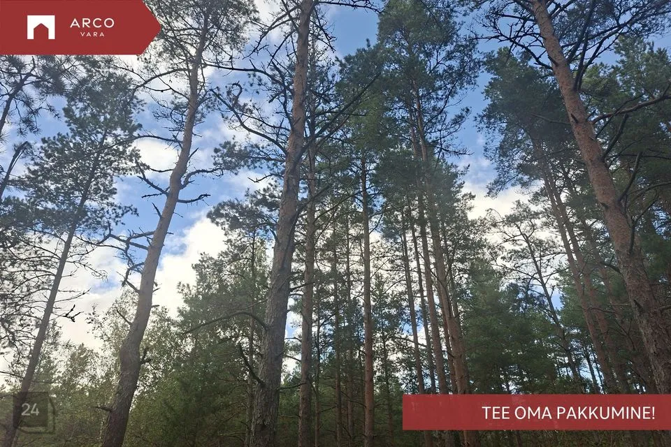 Maatulundusmaa, 136296 m² Maa - Saaremaa vald, Ööriku küla - foto 3