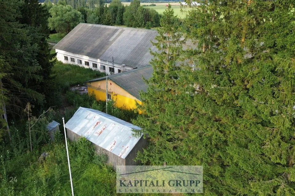 Ladu või Tootmine, 1425 m² Äripind - Tõrva vald, Leebiku küla - foto 4