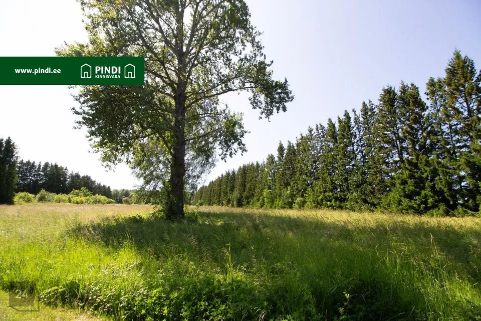 Sotsiaalmaa - ühiskondlike ehitiste maa, 13148 m² Maa  -  Lääne-Nigula vald, Pürksi küla / Birkas