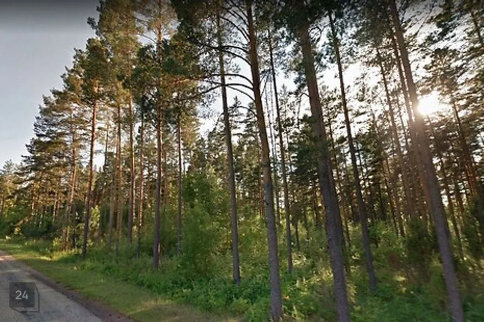 Maatulundusmaa, 31511 m² Maa  -  Setomaa vald, Väike-Rõsna küla