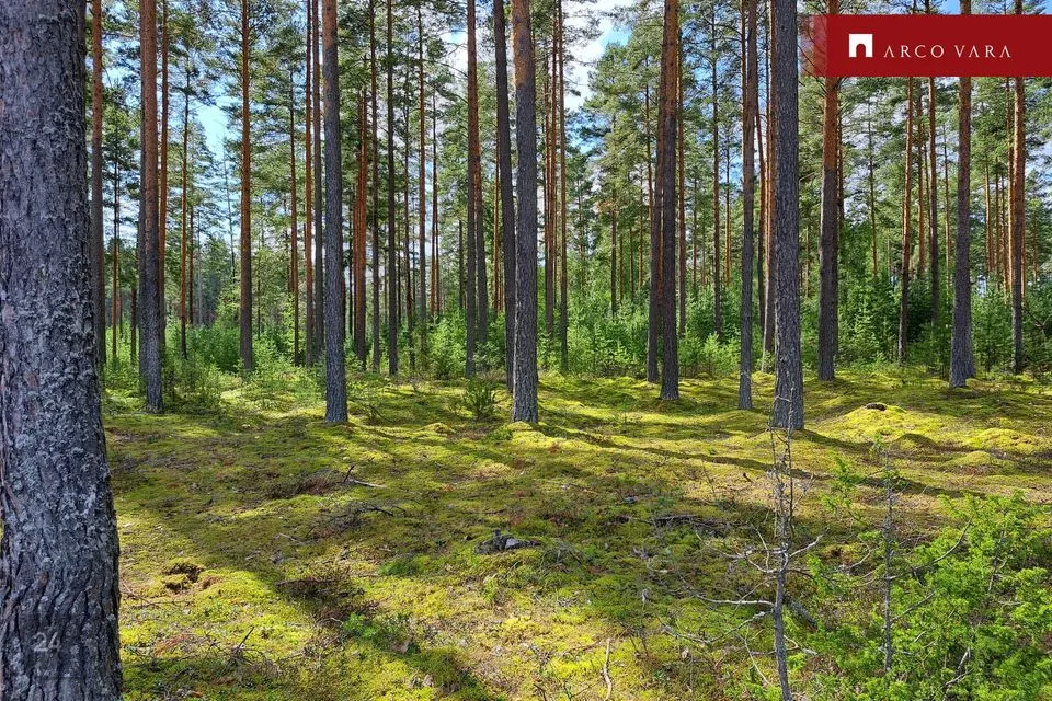 Maatulundusmaa, 34600 m² участок в Setomaa vald, Väike-Rõsna küla