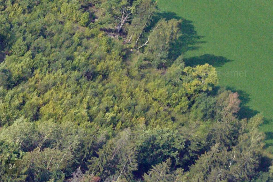 Elamumaa, 1538 m² Maa  -  Vinni vald, Piira küla
