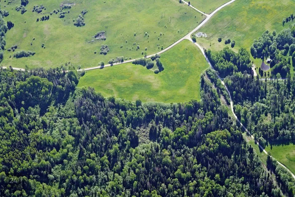 Maatulundusmaa, 145200 m² Maa  -  Otepää vald, Pedajamäe küla
