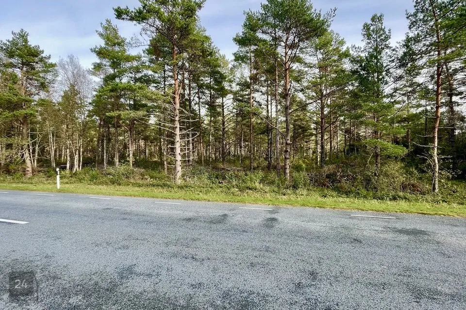 Maatulundusmaa, 22100 m² участок в Saaremaa vald, Vantri küla - фото 4