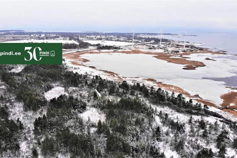 Maatulundusmaa, 98800 m² Maa  -  Lääneranna vald, Esivere küla - foto 5