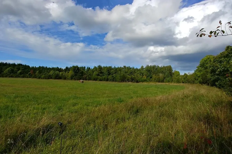 Maatulundusmaa, 27500 m² Maa  -  Muhu vald, Lehtmetsa küla - foto 3