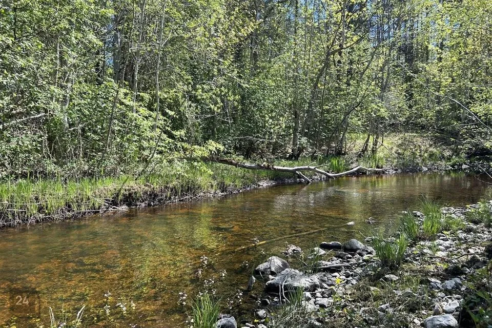 Maatulundusmaa, 33500 m² Maa  -  Märjamaa vald, Käbiküla - foto 2