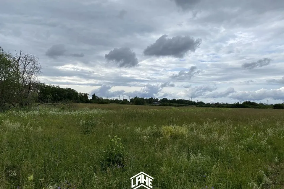 Maatulundusmaa, 68700 m² Maa  -  Rae vald, Ülejõe küla - foto 2