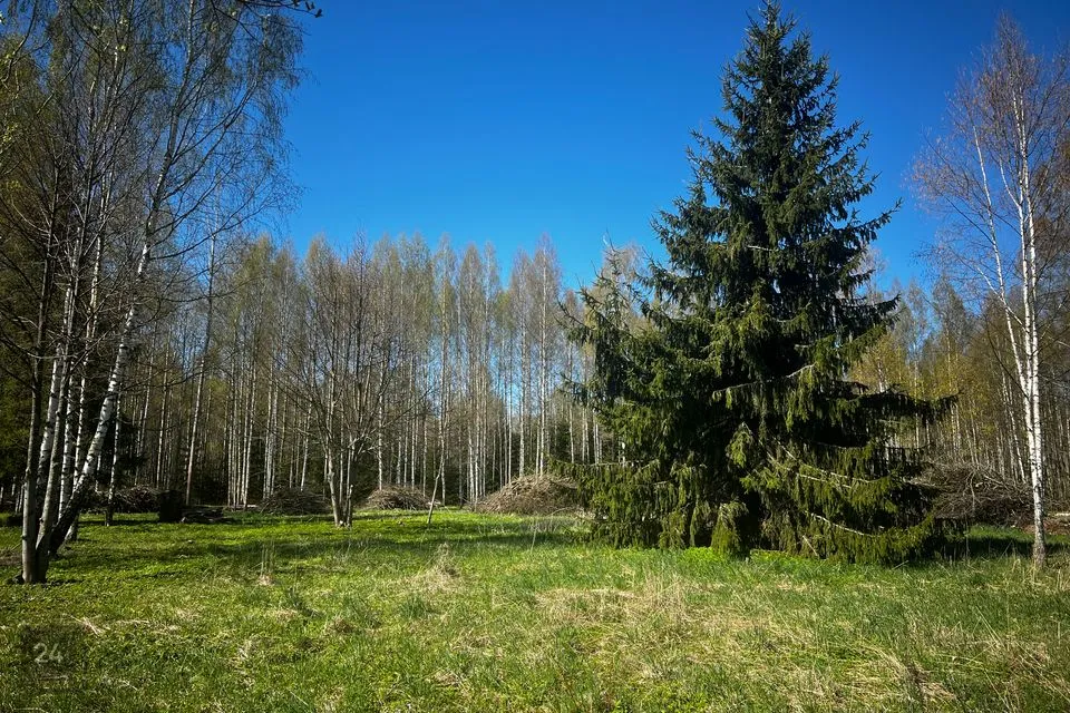 Elamumaa, 17877 m² Maa - Räpina vald, Meeksi küla - foto 2