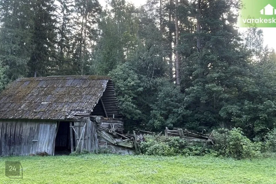 Elamumaa, 6130 m² Maa - Saarde vald, Saarde küla - foto 5
