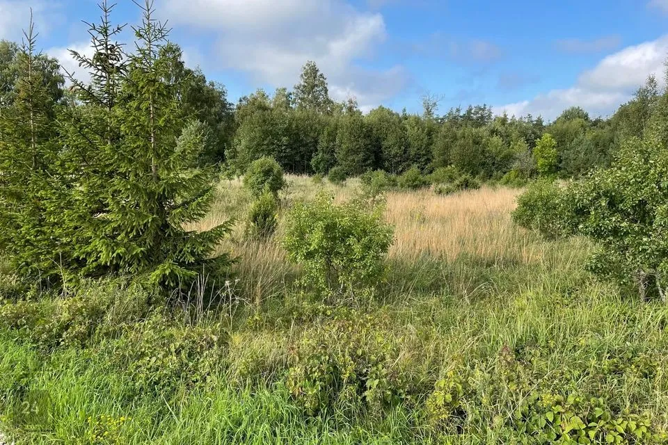 Elamumaa, 2573 m² Maa  -  Haapsalu linn, Rohuküla