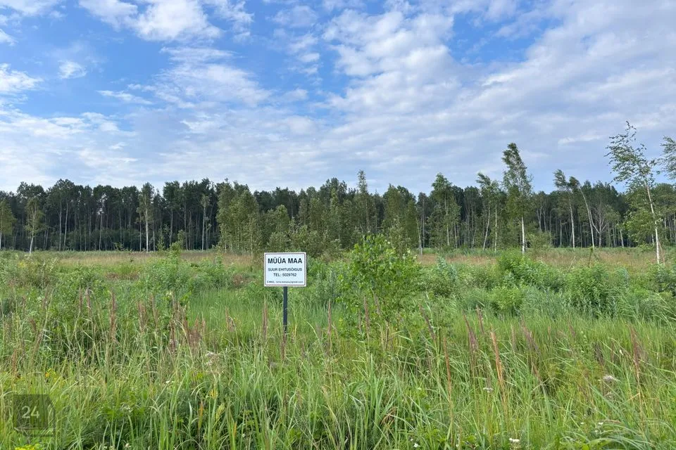 Maatulundusmaa, 21102 m² Maa - Tori vald, Eametsa küla - foto 3