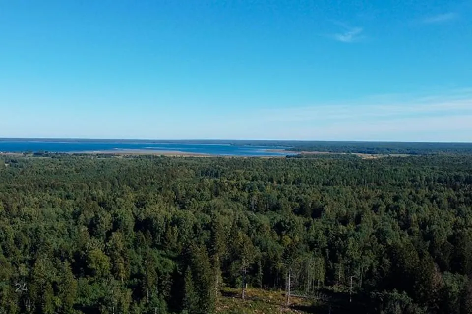 Elamumaa, 24300 m² Maa  -  Kuusalu vald, Loksa küla - foto 3