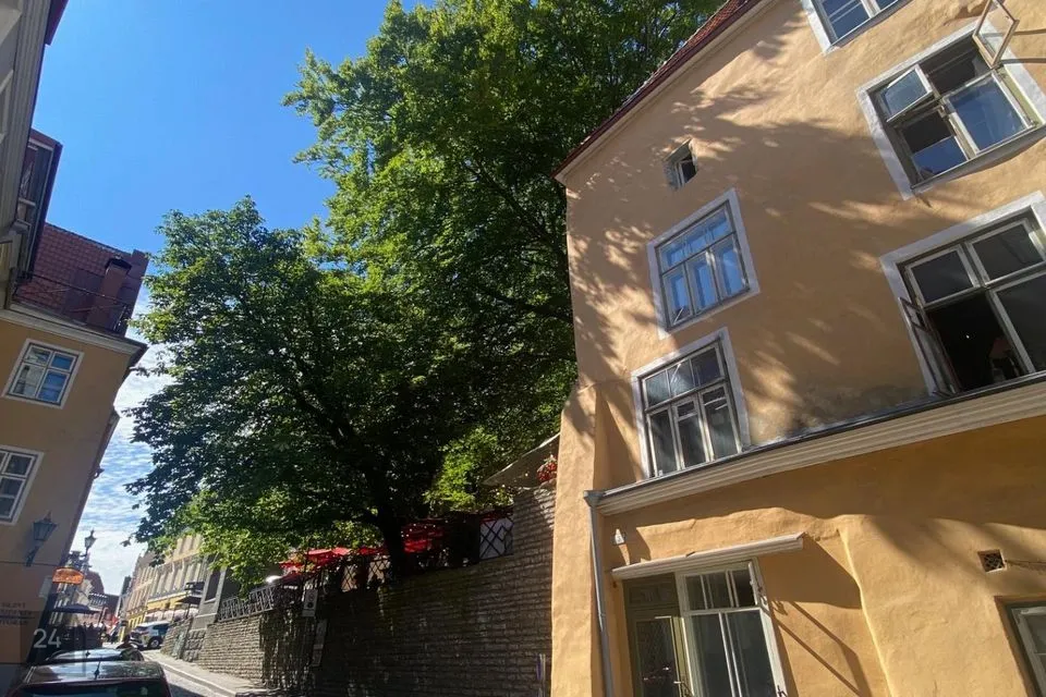 Multi-purpose, 42 m² business in Tallinn, Kesklinna linnaosa - photo 4