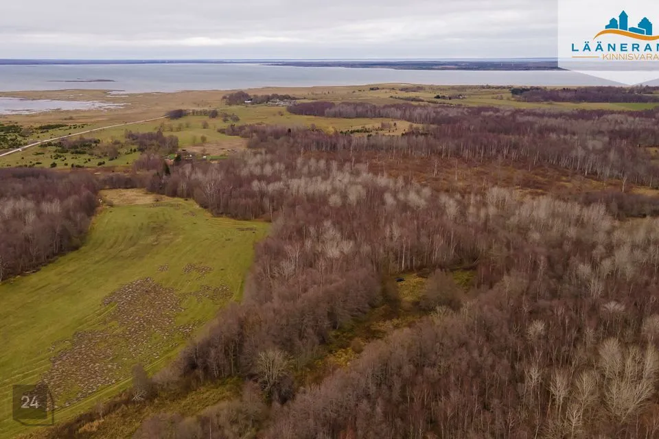 Maatulundusmaa, 50045 m² Maa - Saaremaa vald, Rahuste küla
