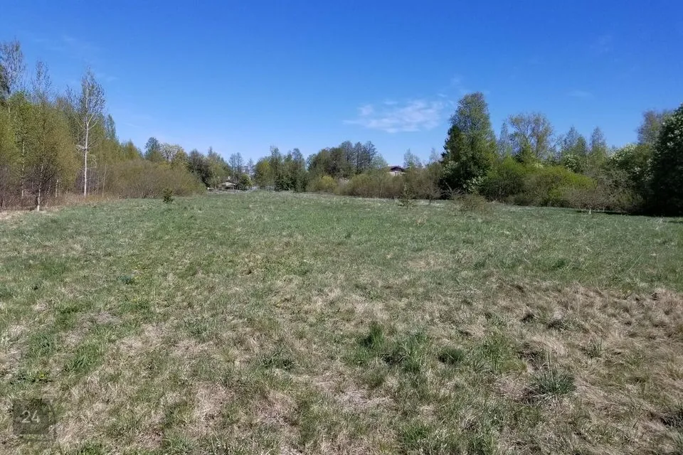 Maatulundusmaa, 11912 m² Maa  -  Mustvee vald, Kalmaküla