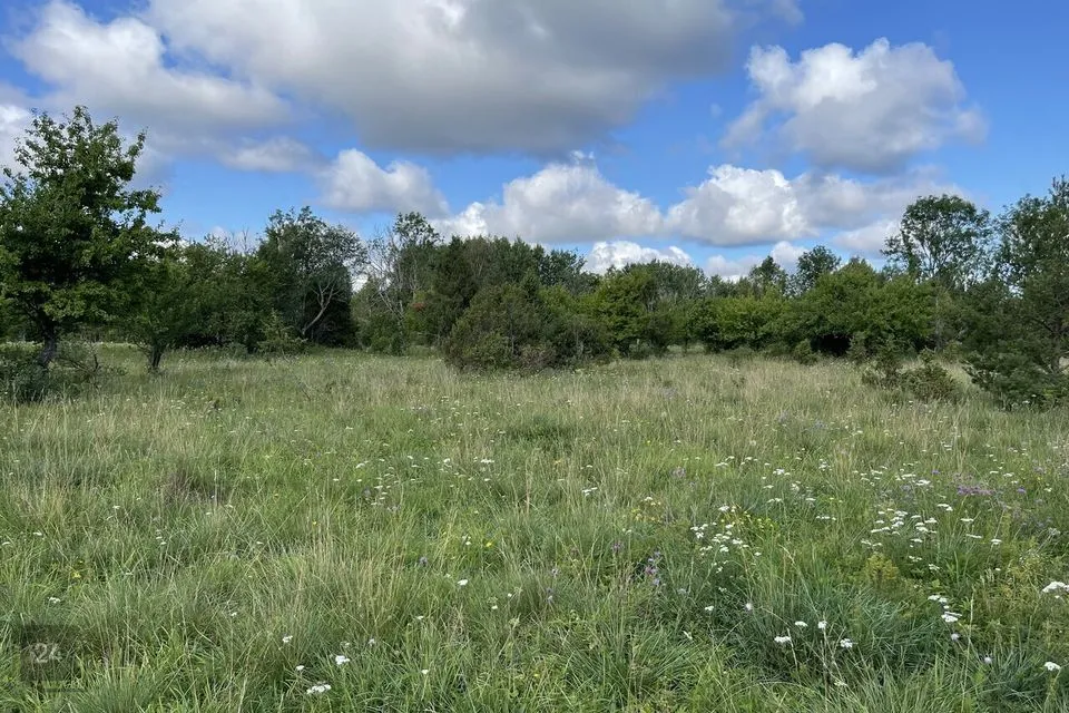 Maatulundusmaa, 26700 m² Maa  -  Saaremaa vald, Linnuse küla - foto 4