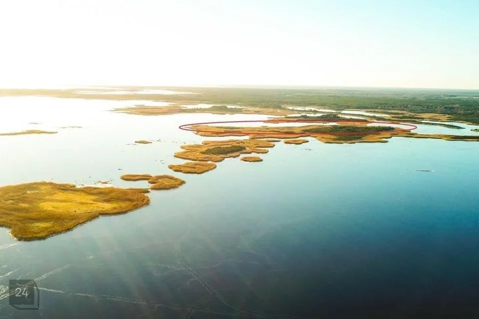Maatulundusmaa, 98100 m² Maa - Saaremaa vald, Saareküla - foto 5
