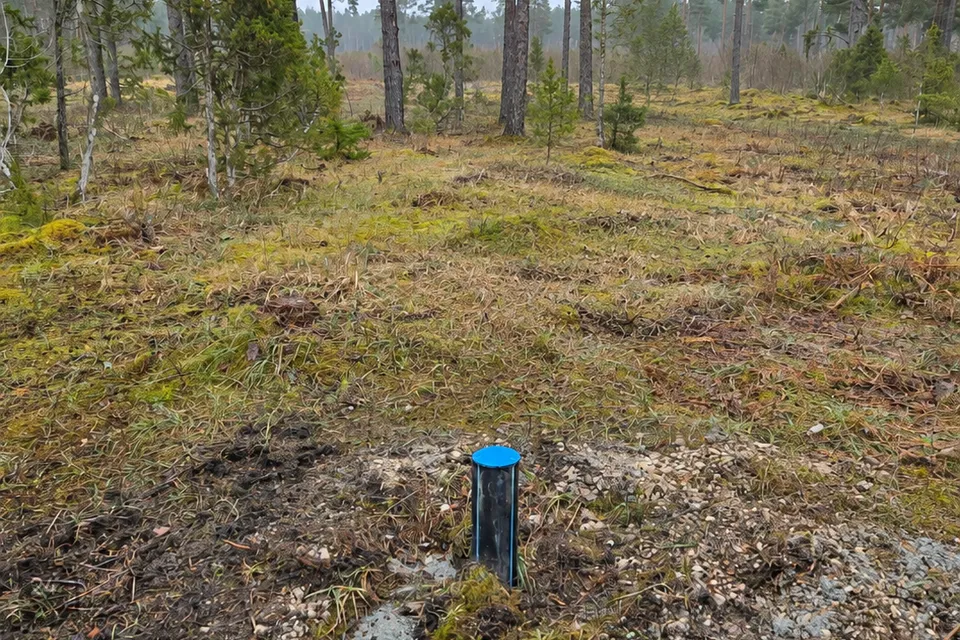 Elamumaa, 10001 m² Maa  -  Saaremaa vald, Jaani küla - foto 2