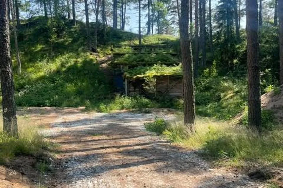 Elamumaa, 3045 m² Maa  -  Alutaguse vald, Alajõe küla - foto 3