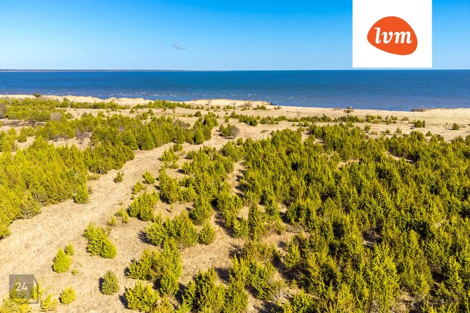 Земля жилой застройки, 5322 m² участок в Saaremaa vald, Suure-Rootsi küla - фото 2