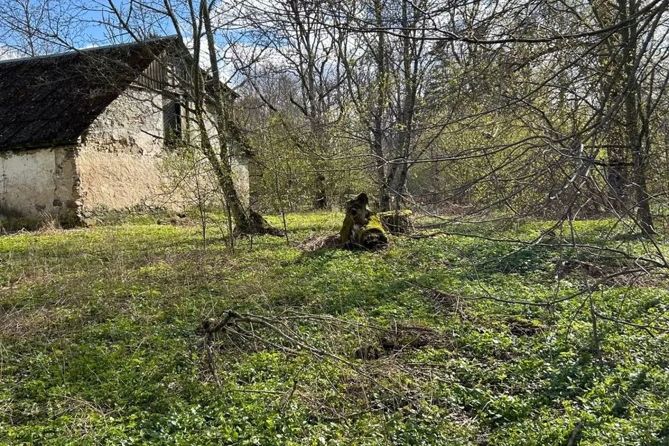 332 m² Äripind - Lääneranna vald, Kloostri küla - foto 2