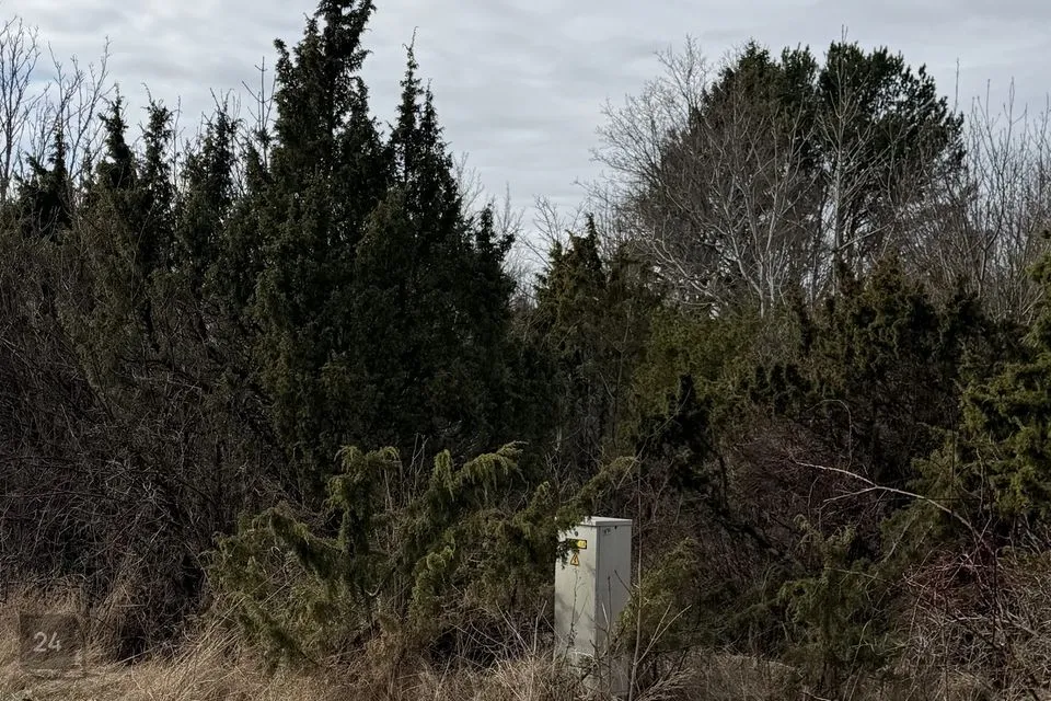 Elamumaa, 10473 m² Maa - Harku vald, Ilmandu küla - foto 3