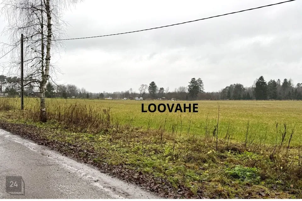 Maatulundusmaa, 27219 m² Maa  -  Anija vald, Looküla - foto 4