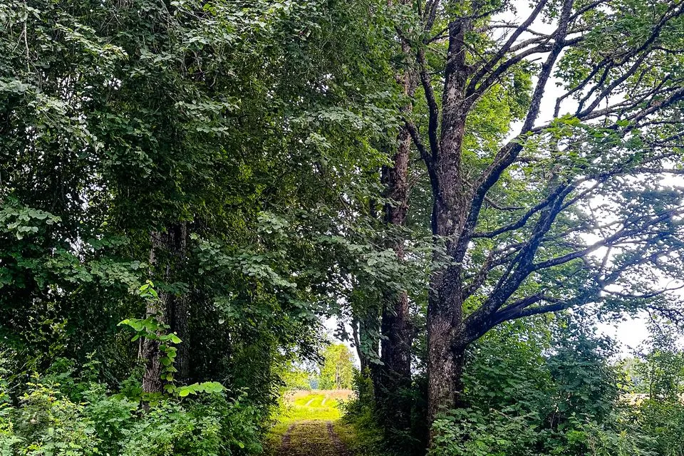 3-комнатная дом в Viljandi vald, Karula küla - фото 2