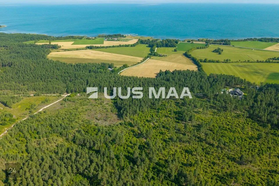 Maatulundusmaa, 52031 m² Maa - Saaremaa vald, Jaani küla