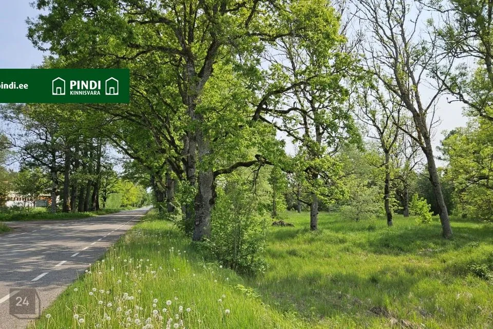 Maatulundusmaa, 16840 m² Maa - Märjamaa vald, Vana-Vigala küla - foto 3