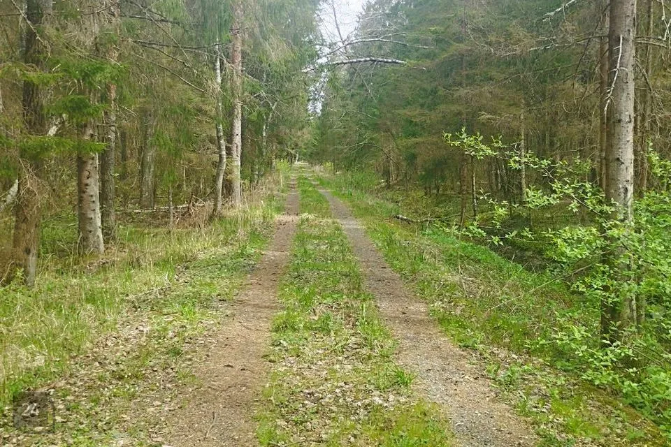 Земля жилой застройки, 29790 m² участок в Saku vald, Tagadi küla - фото 3