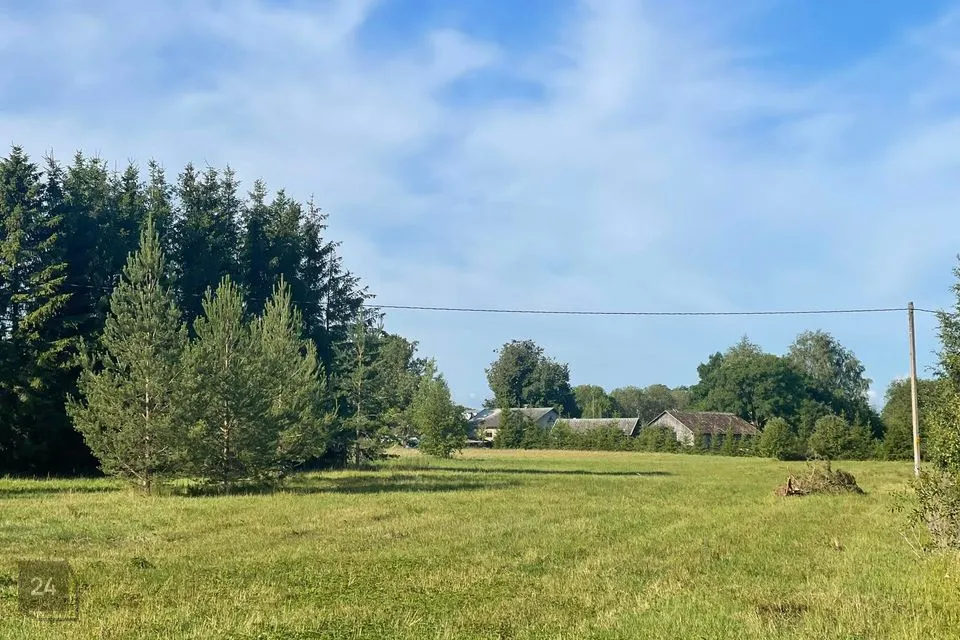 Elamumaa, 6440 m² Maa - Viru-Nigula vald, Vasta küla - foto 2