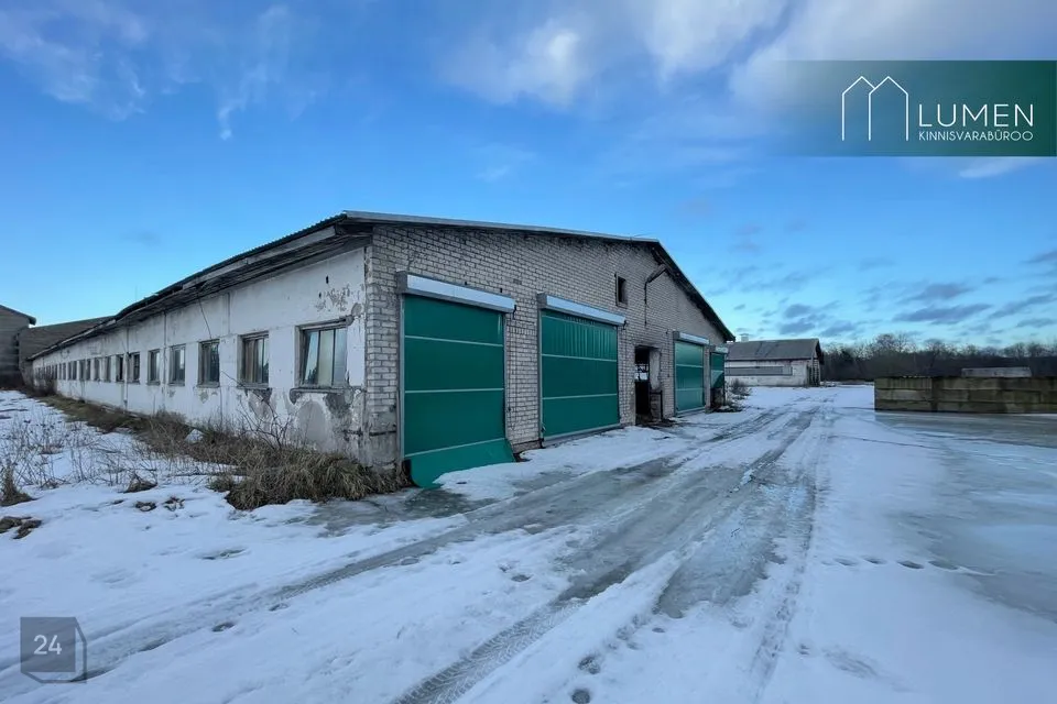 6500 m² business in Lääne-Nigula vald, Vidruka küla - photo 5