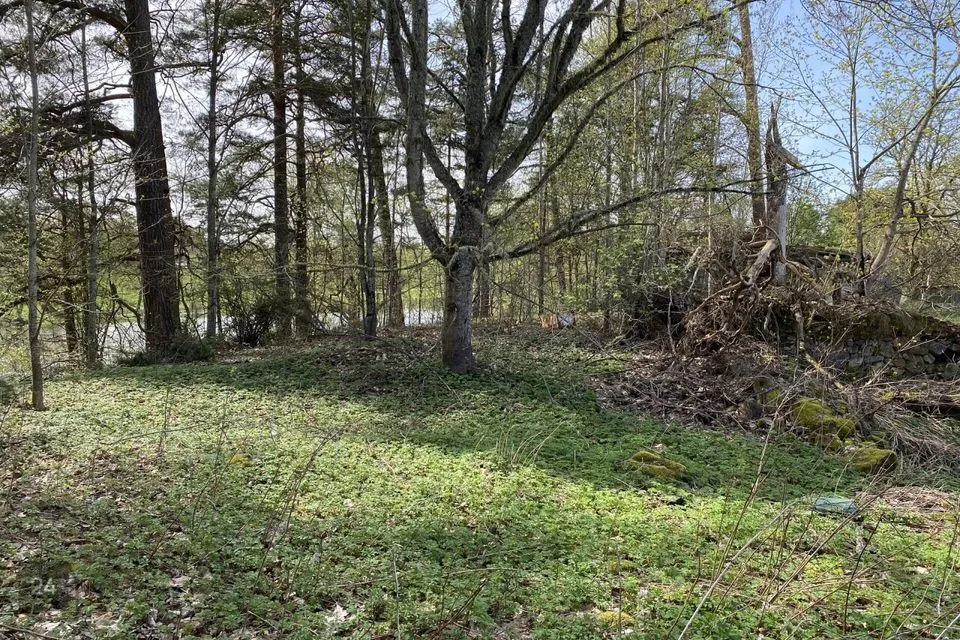 Elamumaa, 4100 m² Maa - Kanepi vald, Krootuse küla - foto 5