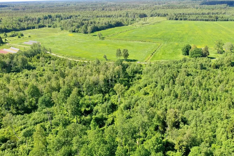 Maatulundusmaa, 22138 m² Maa  -  Järva vald, Jõeküla - foto 2
