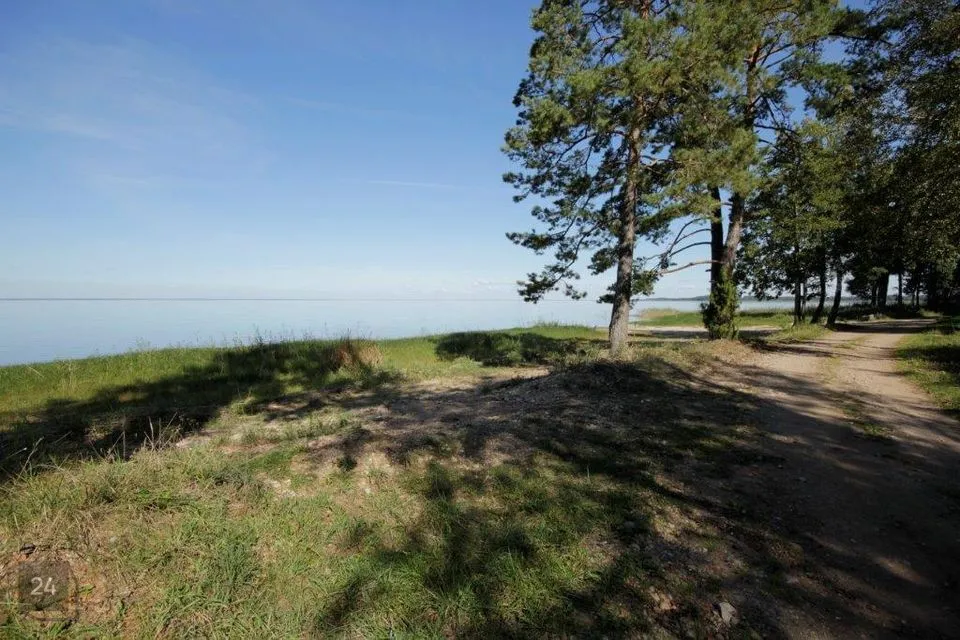 8687 m² Maa  -  Elva vald, Vehendi küla