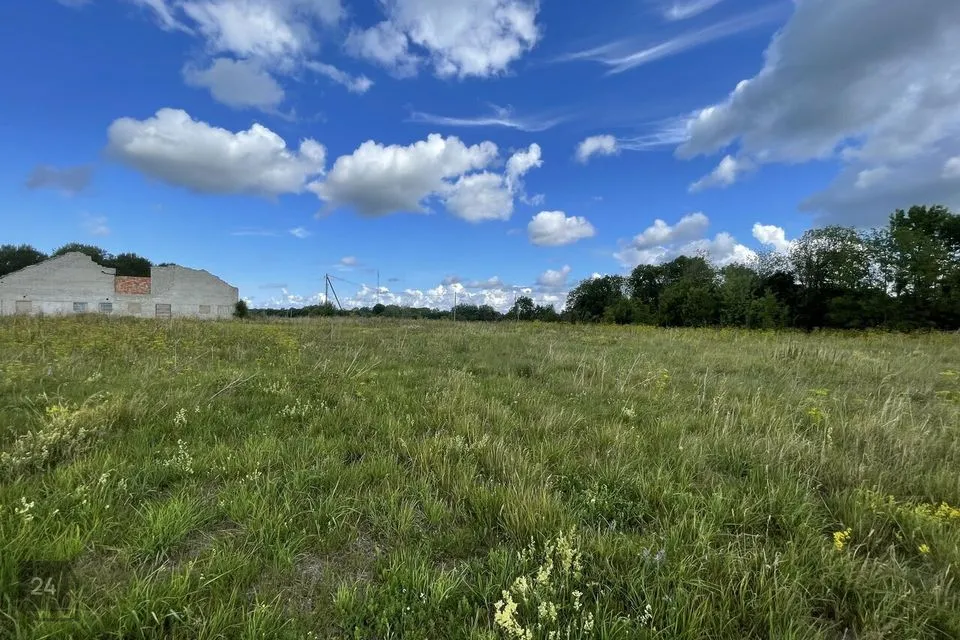Земля производственного назначения, 9530 m² участок в Narva-Jõesuu linn, Tõrvajõe küla - фото 4