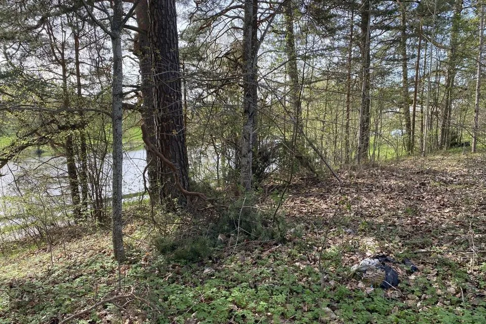 Elamumaa, 4100 m² Maa - Kanepi vald, Krootuse küla - foto 3