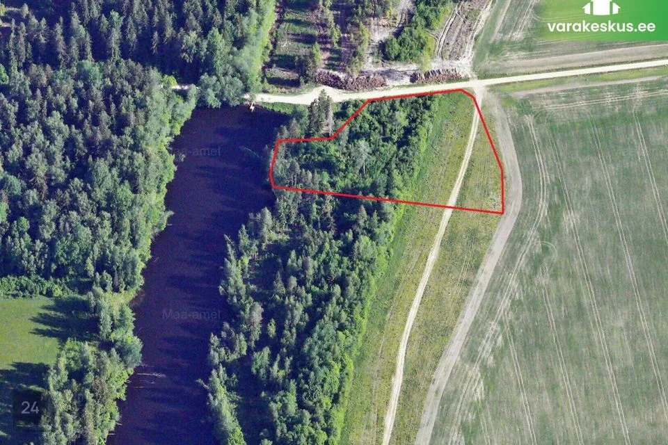 Elamumaa, 6131 m² Maa - Mulgi vald, Veelikse küla - foto 3