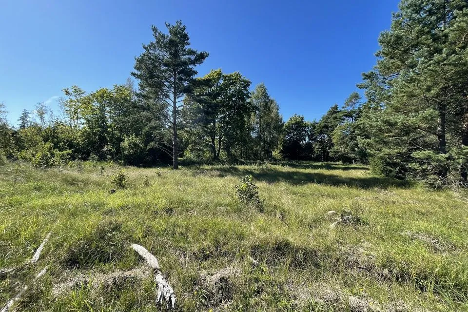 Maatulundusmaa, 34100 m² Maa - Saaremaa vald, Torgu-Mõisaküla - foto 5