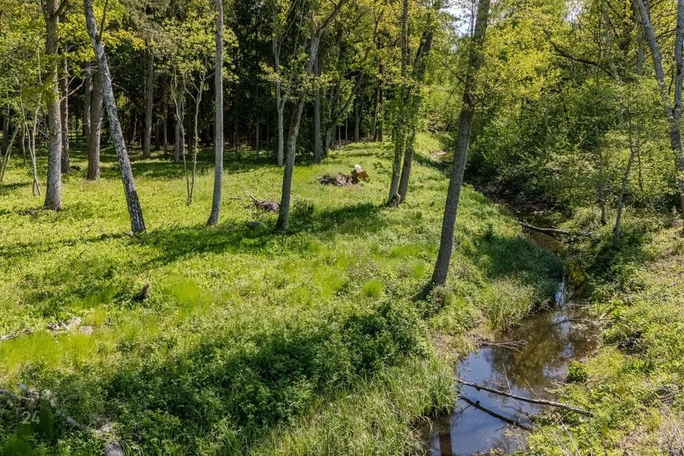 Elamumaa, 8849 m² Maa  -  Haapsalu linn, Kiltsi küla - foto 5
