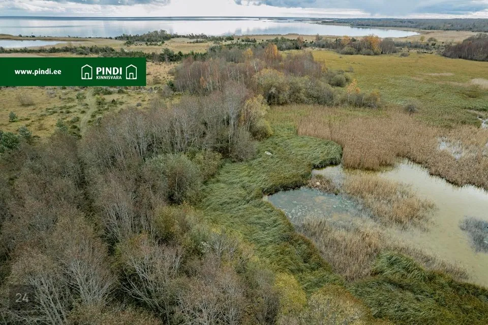 Cultivated land, 68877 m² land in Saaremaa vald, Kungla küla - photo 3