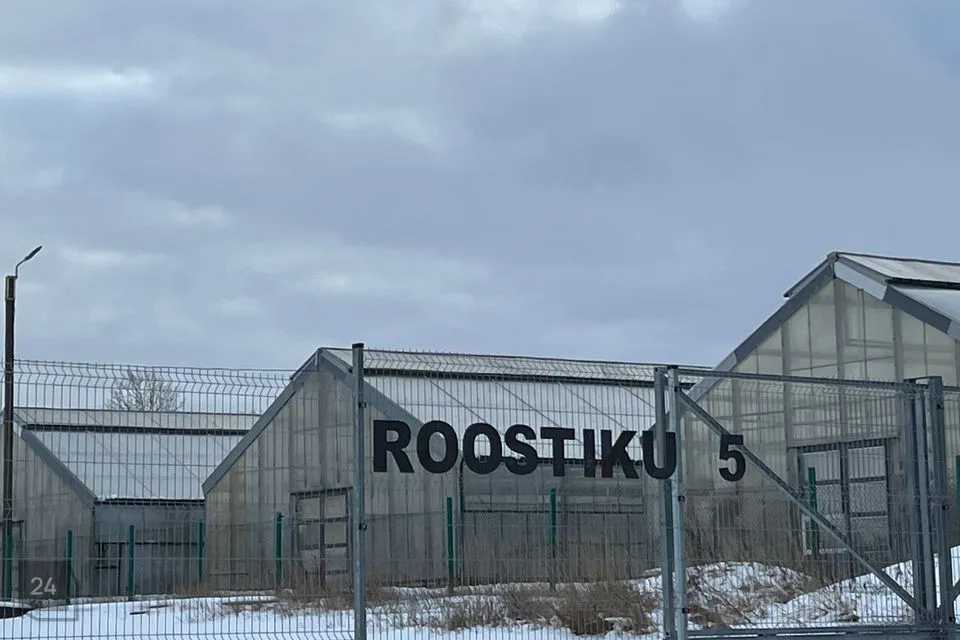 Ärimaa või Tootmismaa, 1000 m² Maa  -  Maardu linn - foto 3
